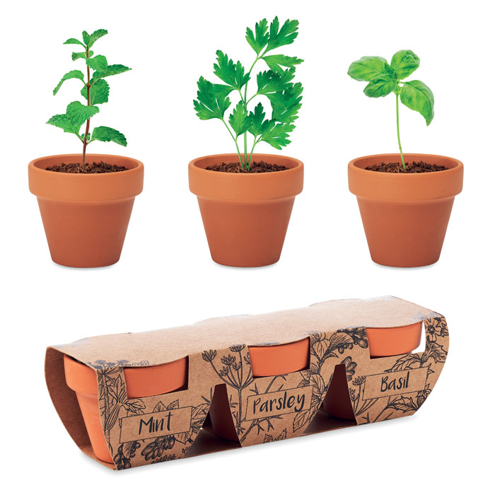 Flowerpot set od 3 terakota posude sa sjemenkama začinskog bilja
