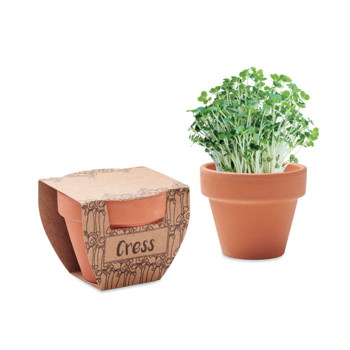 Cress Pot sjemenke kreše u terakota posudi
