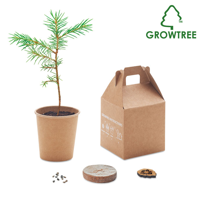 GROWTREE™ set za uzgoj bora iz sjemenki