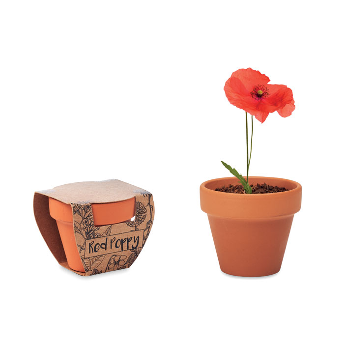 Red Poppy terakota posuda sa sjemenkama maka