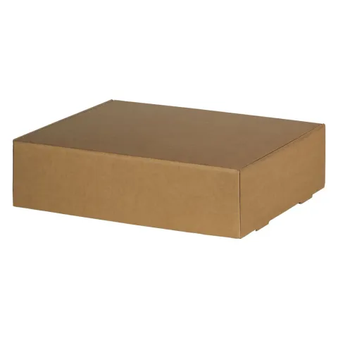 Format – troslojna samosklopiva poklon kutija, 21 × 17 × 5 cm